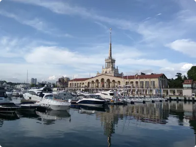 Сочи. Городские достопримечательности. Весна 2023 года. :: Николай  Николенко – Социальная сеть ФотоКто