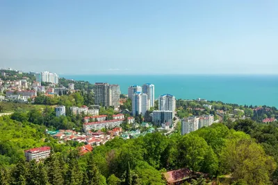 Sochi Ranks Among Top Three Global Cities for Most Expensive Luxury Housing  | Market Trends