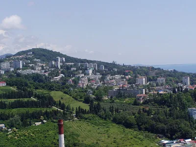 SOCHI, RUSSIA Sochi Olympic Fire Bowl in the Olympic Park Aerial. Sochi  Olympic Fire Bowl in the Park. Central Stella Editorial Photo - Image of  city, edifice: 99907856