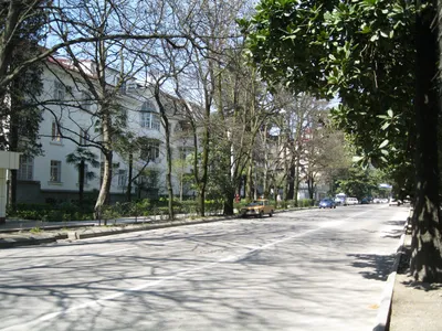 Улица Гагарина (Сочи) — Википедия