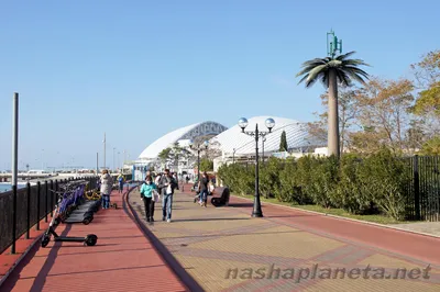 Порт Сочи Имеретинский » Олимпийский парк Сочи — официальный сайт