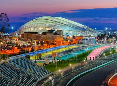 The Top 12 Things to Do in Sochi, Russia