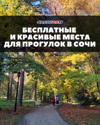 Лучшие бесплатные пляжи Сочи