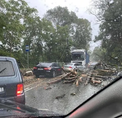 Ливни снова затопили Сочи, машины оказались под водой. Фото, видео ::  Autonews