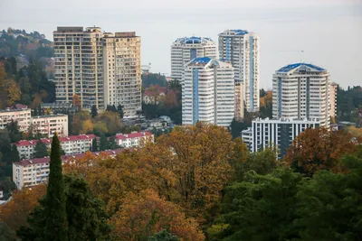 Почему растут цены на недвижимость в Сочи?