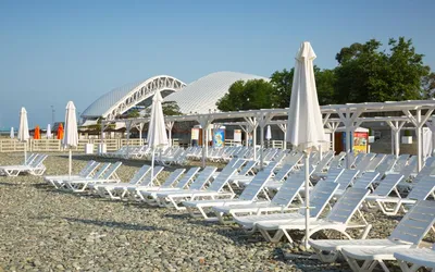Сочи парк отель пляж фото фотографии