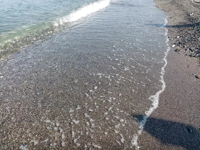 Песчаные пляжи в Сочи!? Ничего особенного, их очень много! Фото и видео. |  Пенсы на море | Дзен