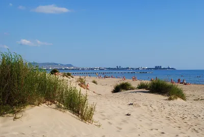 Открытие песчаного пляжа в Сочи: смотреть видео, нуйдиские пляжи. Novosti v  Sochi: nudiski plyazh | SCAPP