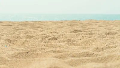 В Сочи открылся первый песчаный пляж: Природа: Моя страна: Lenta.ru