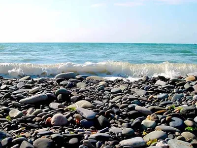 В Сочи из-за сильной жары температура воды в море приближается к рекордным  значениям - Новости Сочи Sochinews.io