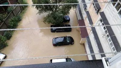 Мощный тропический шторм накрыл Сочи: потоками воды смывало машины, валило  деревья, есть жертвы - TOPNews.RU