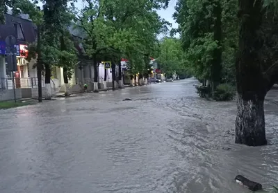 Очередной потоп в Сочи | Пикабу