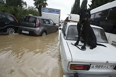 В Сочи из-за ливней затопило более 200 домов и федеральную трассу. Что  известно о последствиях стихии