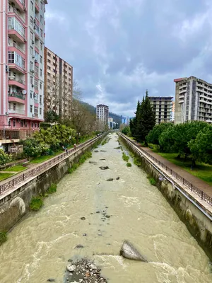 Сочи район мамайка фото фото