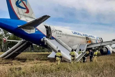 Появились первые фото с места экстренной посадки самолета Сочи – Омск |  Происшествия | Омск-информ