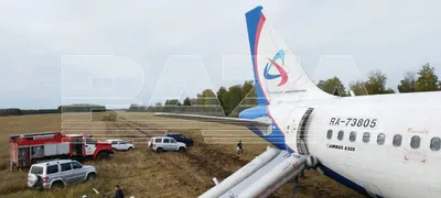 Стали известны имена пилотов, посадивших самолет Сочи — Омск в поле |  12.09.2023 | Омск - БезФормата