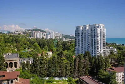 Отель Светлана в Сочи. Цены на 2023 сезон и онлайн бронирование номеров и  апартаментов