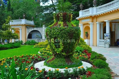 Центральный район Сочи - История города Сочи Центральный район