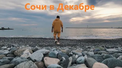 Сочи 11 декабря 2022 года | Пикабу