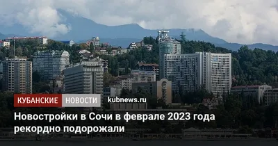 Горящие туры в Сочи, Россия от Дельфин на 5 дней в феврале 2024 года из  Москвы 🔥 Купить горящие путевки - цены на отдых в 2024 году