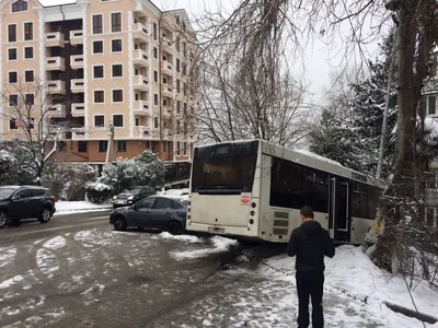 Выгодные туры в Сочи зимой! - Блог Путёвки.ру