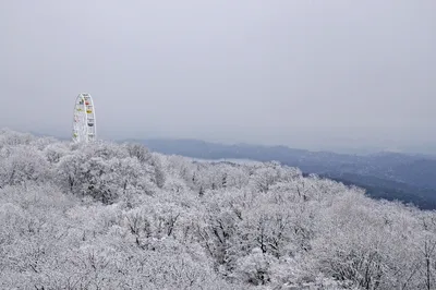 Снег, мороз и гололед. И все это - в Сочи!: foto_sochi — LiveJournal