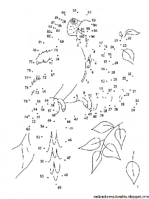 Соединить картинку по цифрам - Раскраски соедини по цифрам для 9 лет (49  фото) . holidaycalls.ru