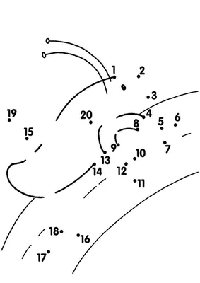 Раскраска обведи по цифрам - 83 фото