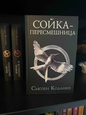 Птица сойка картинки - 82 фото