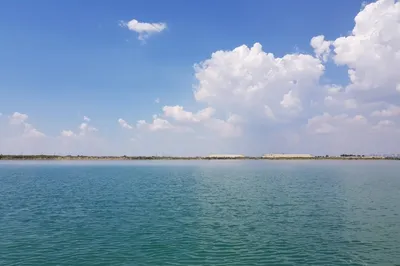 Пляж Paleta Beach («Палета бич») в Ростове-на-Дону — отзывы, фото, берег,  инфраструктура, где находится, как доехать