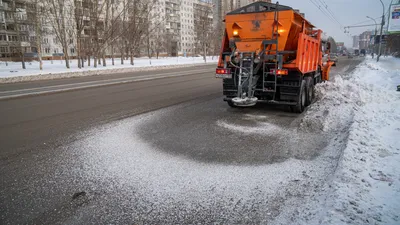 Продам: грудинка соленая в Новосибирске