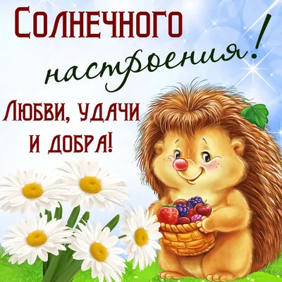 Доброе утро! Солнечного настроения!