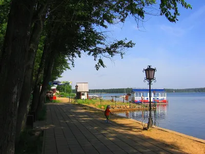 Городской пляж в Солнечногорске на озере Сенеж — фото, отзывы, как добраться