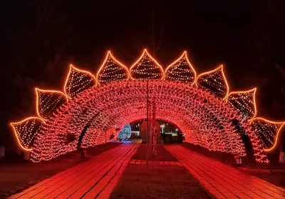 Солнечногорск. Карта Солнечногорска. Подробная карта города Солнечногорск  Московской области