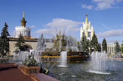 В Москву всей семьей: Московский зоопарк + ВДНХ (из г. Солнечногорск) - НТК  Глобус