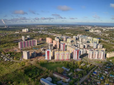 В микрорайоне Солнечный берег появилась аллея в память о героях войны -  KP.RU