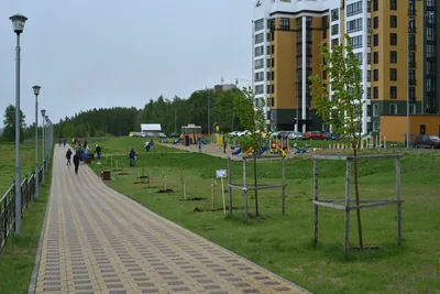 На набережной Солнечного берега заложили Сад Победы | 18.05.2019 | Киров -  БезФормата