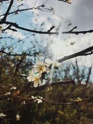 8 мая. Утро. Весна. Солнце.