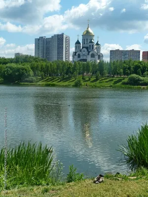 Район Солнцево в Москве / Афиша и новости программы «Мой район»