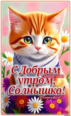 Доброе утро, солнышко ясное, Доброе утро - день будет прекрасным. | Доброе  утро, солнышко ясное, Доброе утро - день будет прекрасным. Доброго утра  желаю вам, люди! Добра пусть и света в душах