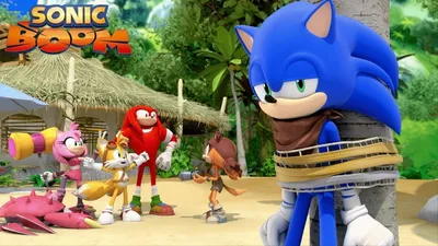 If the Sonic Boom cartoon were to continue, what did you wanted to see or  expansion of? : r/SonicTheHedgehog