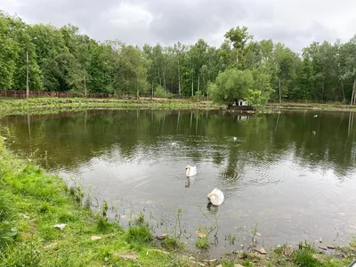 Прогулки по Нижнему Новгороду. Сормовский парк | между прошлым и будущим |  Дзен