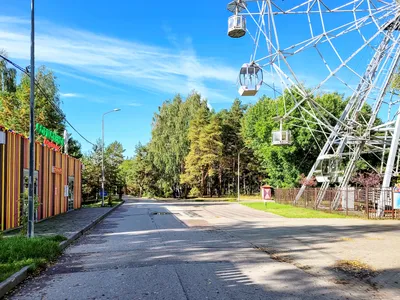 Мадагаскар, зоопарк, Нижний Новгород, Сормовский парк культуры и отдыха —  Яндекс Карты