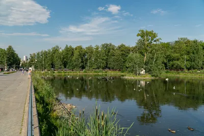 ЖК Сормово Парк Нижегородская область от официального застройщика ООО СЗ  «Генстрой»: цены и планировки квартир, ход строительства, срок сдачи,  отзывы покупателей, ипотека, акции и скидки — Домклик