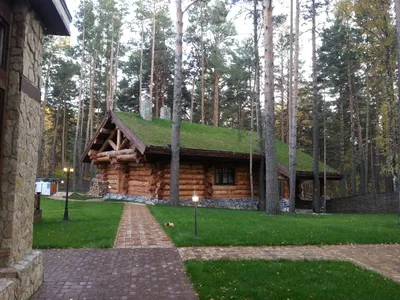 Прокурора Бердска проверит пляж, на котором утонул ребёнок | 05.06.2023 |  Бердск - БезФормата