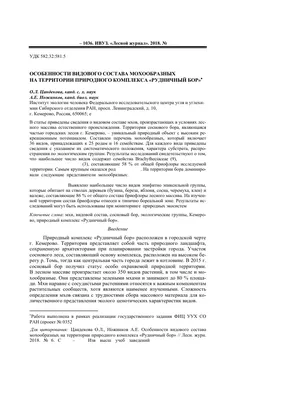 Пункт проката лыж начал свою работу в кемеровском Сосновом бору