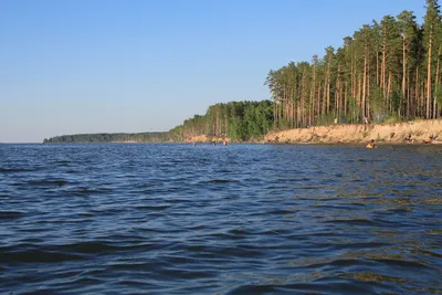 ЖК Сосновый Бор около ЛДС. На Богдана Хмельницкого.