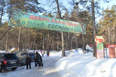 ПКиО «Сосновый бор» Новосибирска зимой