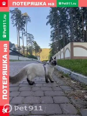 Дом событий СОСНЫ (@dom.events) • Instagram photos and videos
