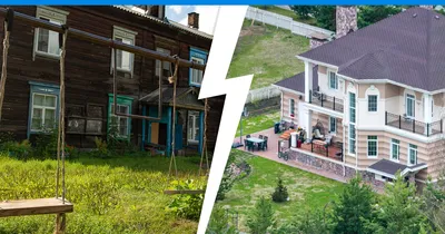 В Красноярске неизвестные вандалы выкопали в сквере горные сосны - KP.RU